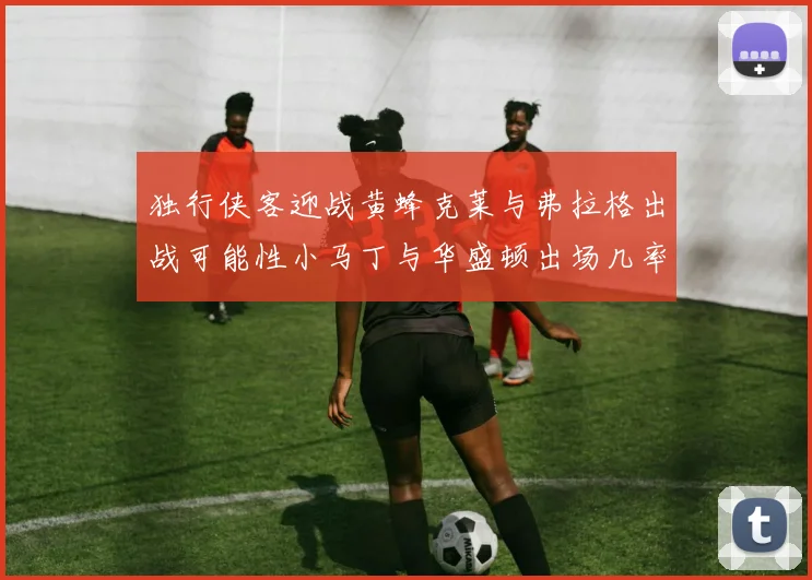 独行侠客迎战黄蜂克莱与弗拉格出战可能性小马丁与华盛顿出场几率高