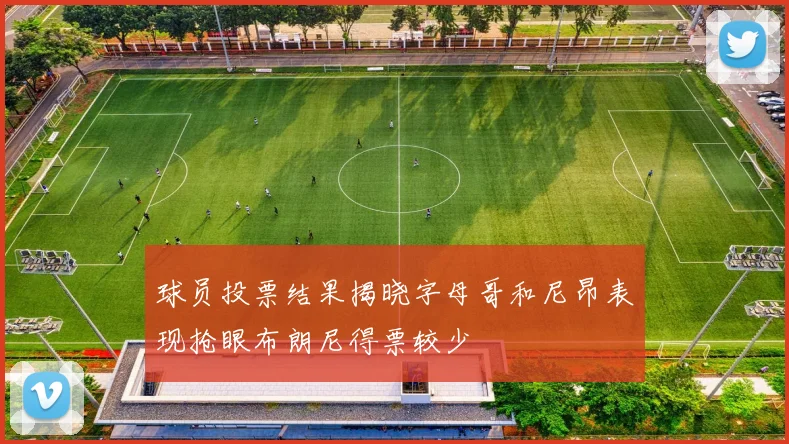 球员投票结果揭晓字母哥和尼昂表现抢眼布朗尼得票较少