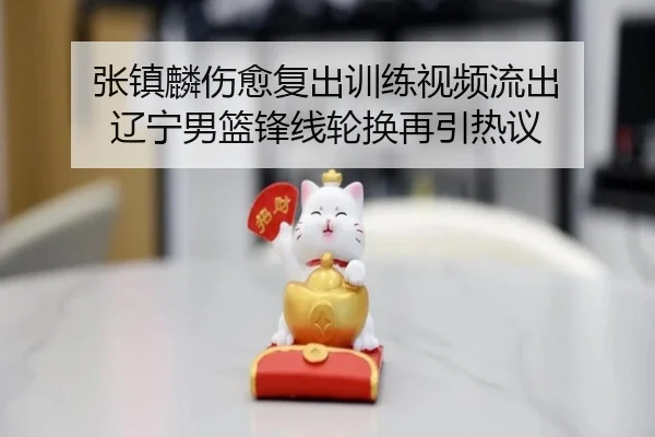 张镇麟伤愈复出训练视频流出 辽宁男篮锋线轮换再引热议 | BOYUSPORTS